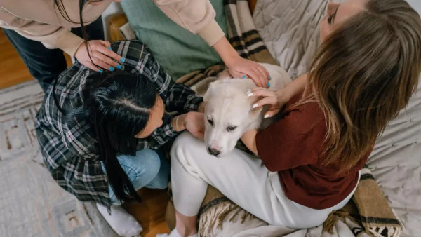Adoption d&rsquo;un chiot : les 5 erreurs qui compliquent la vie de toute la famille