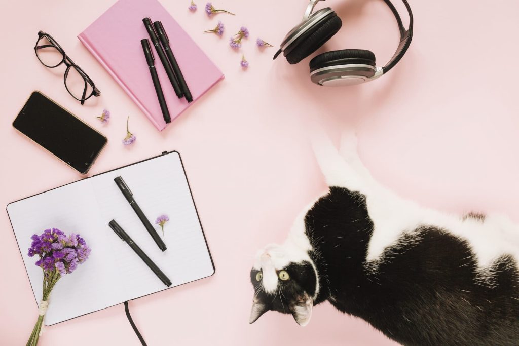 Chat allongé sur un bureau entouré de carnets et d’objets du quotidien, illustrant un environnement calme et familier.