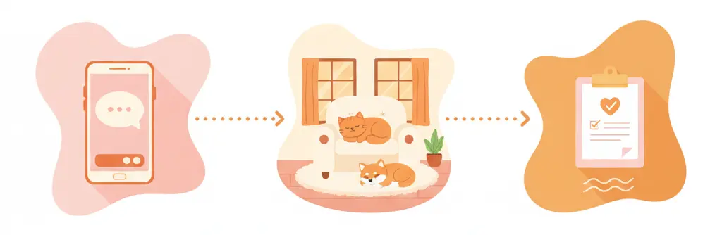 Schéma en 3 étapes d’une consultation comportementale : prise de contact, observation de l’animal, plan d’accompagnement personnalisé